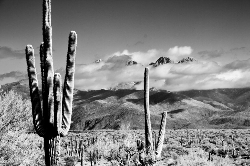 Open desert running to the hills