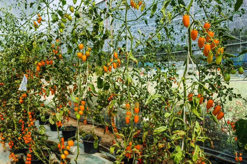 The planted gardens on the grounds